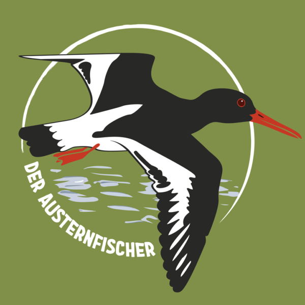 M18_Austernfischer-groß